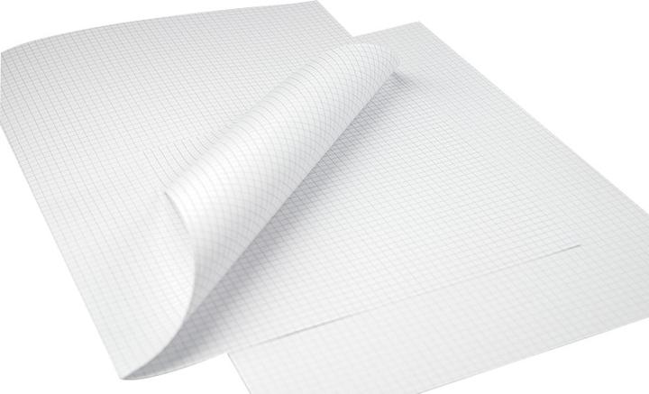 Image du produit Papyrus Papier à écrire 4 mm A4x2 90g (A4, 250 feuilles, 90 g/m²)