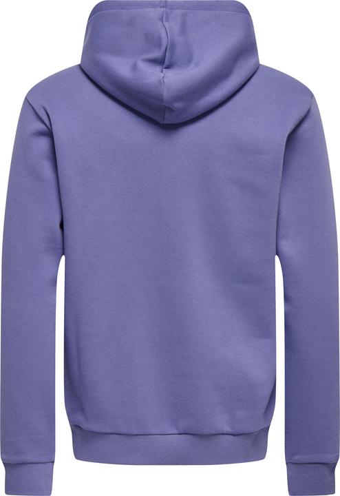 Immagine prodotto Only & Sons Onsceres Hoodie Sweat Noos (XS)