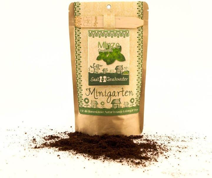 Actual product image Saatgeschwister Mint garden Mint (Herb seeds)