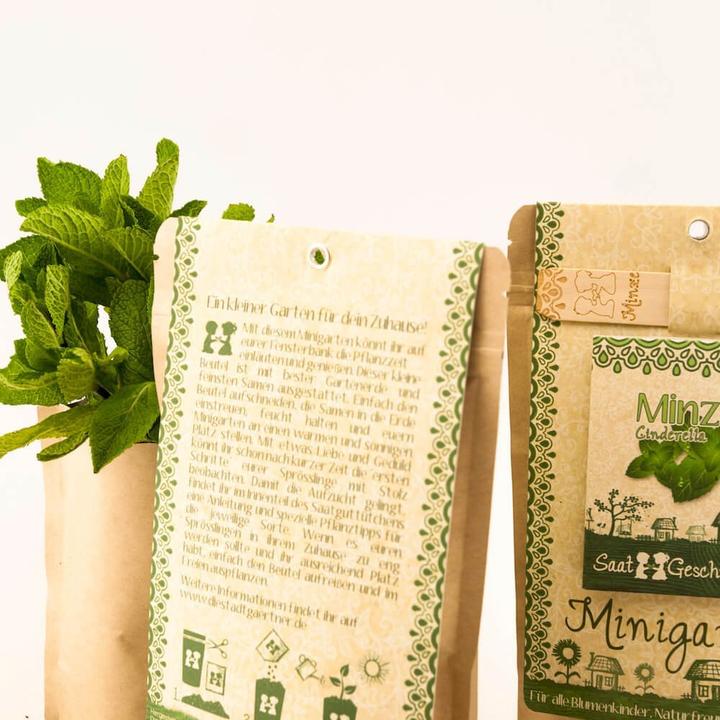 Actual product image Saatgeschwister Mint garden Mint (Herb seeds)