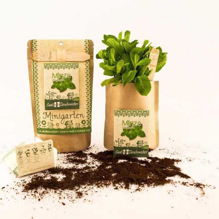 Actual product image Saatgeschwister Mint garden Mint (Herb seeds)