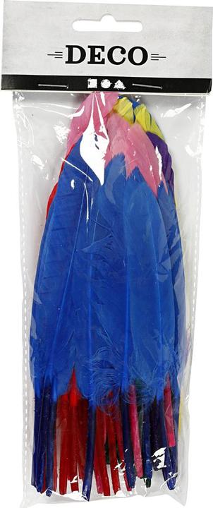 Immagine prodotto Creativ Company Feathers