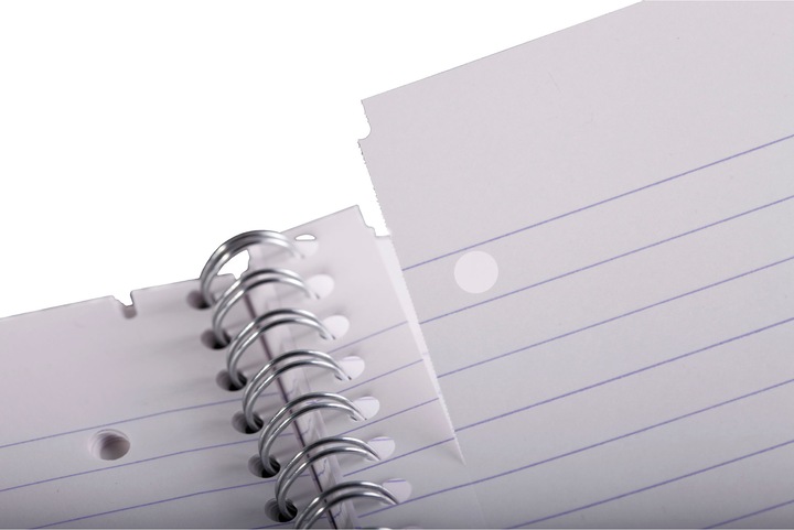 Image du produit Clairefontaine Bloc-notes collège (A4+, À rayures, Couverture rigide)