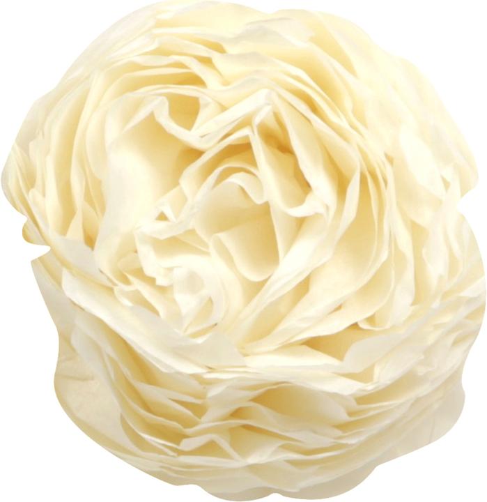 Actual product image Clairefontaine Tissue paper (18 g/m², 24 x)