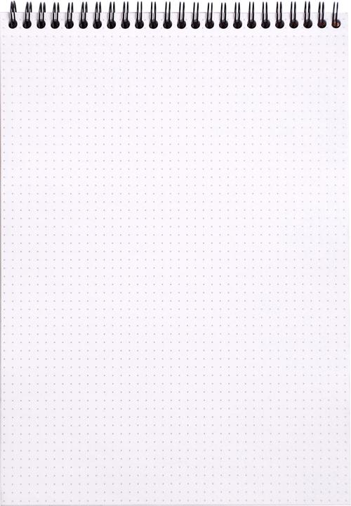 Produktbild Rhodia Notizblock (A4, Speziallineatur)