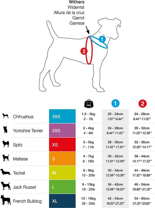 Actual product image Curli Tableware (3XS, Dog, General)