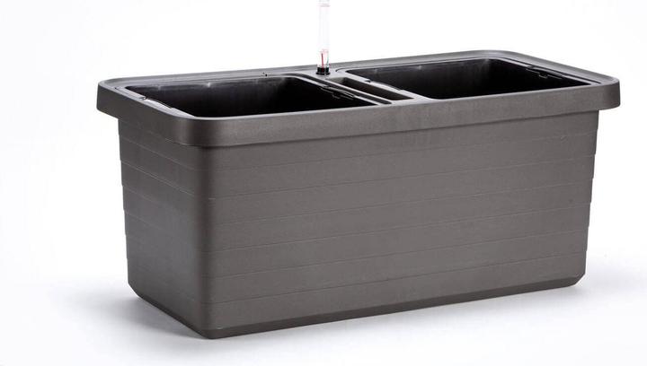Produktbild Plastia Berberis Duo