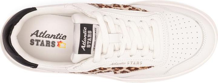 Produktbild Atlantic Stars Vienne (39)