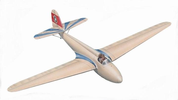Actual product image Planet Models DFS Stub Goshawk