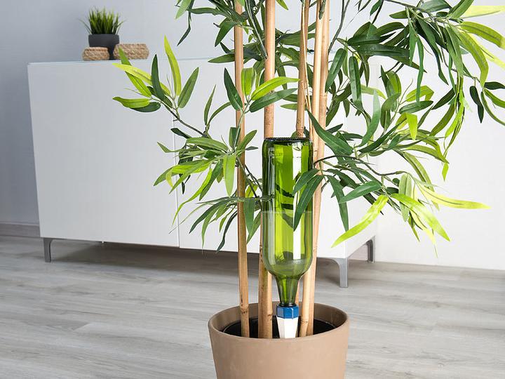 Produktbild Royal Gardineer Tonspitzen-Pflanzenbewässerungs-System (Tonkegel)