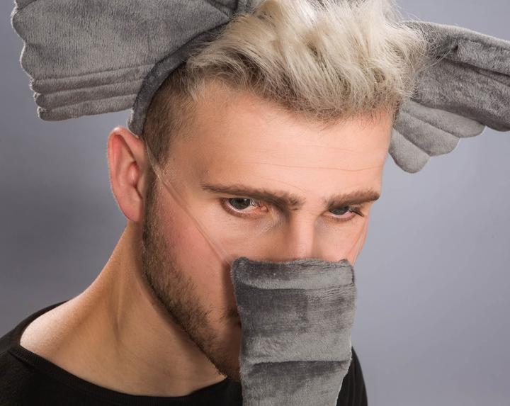 Produktbild Festartikel Müller Elefantenset: Kopfbügel Mit Ohren, Rüssel, Schwanz