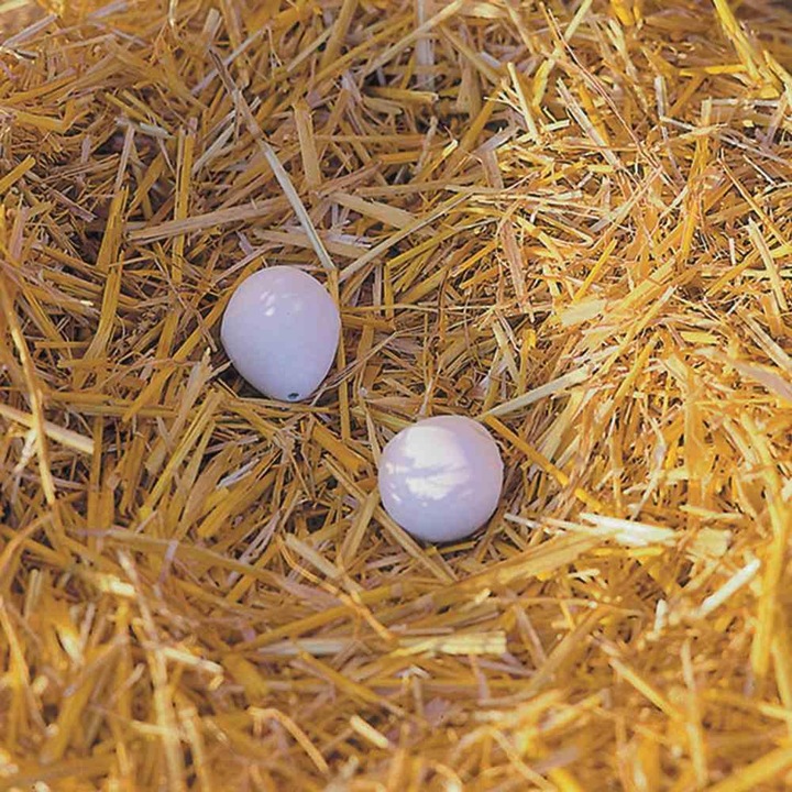 Actual product image Kerbl Nest eggs made of clay for chickens (2 pcs. Blister)