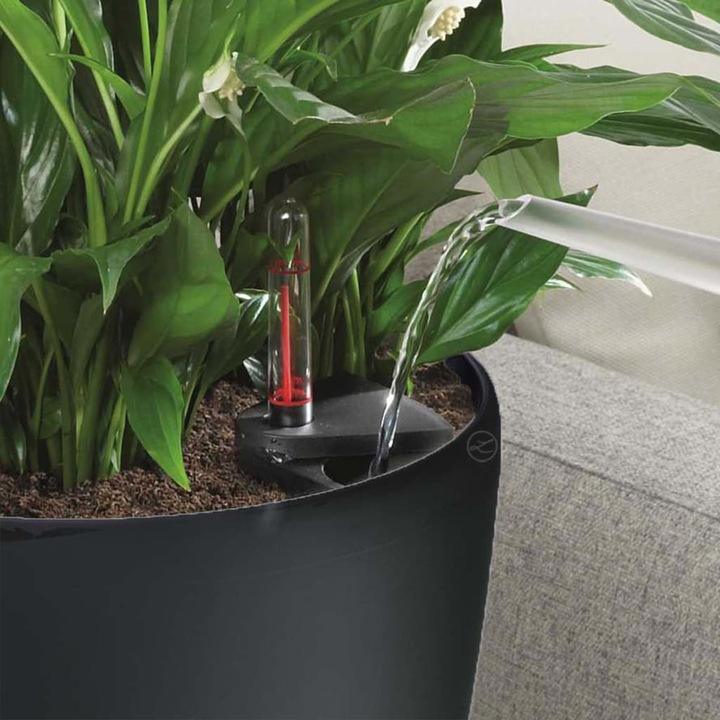 Actual product image Lechuza Classico (28.50 cm)