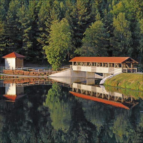 Actual product image Schwarzwald 2026