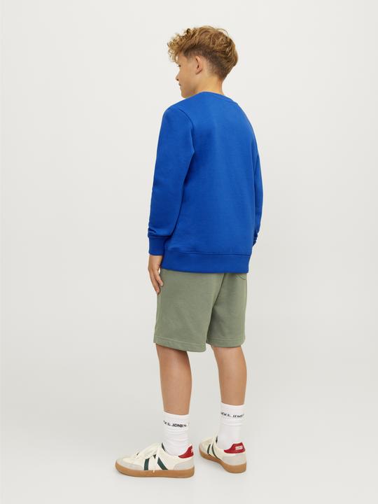 Produktbild Jack & Jones Jcomountain Logo Sweat Crew Neck Sn Mni (110)
