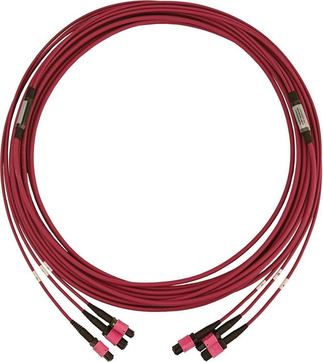 Actual product image Eaton 40/100/400G Multimode 50/125 OM4 Fibre Optic Cable 3x8F MTP/MPO-PC F/F LSZH Magenta (10 m)