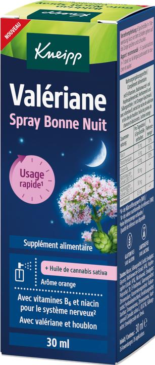 Image du produit Kneipp Gute Nacht (1 pièce(s), Liquide)
