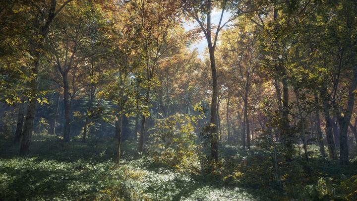 Actual product image THQ The Hunter - Call of the Wild 2019 (Xbox One X, Xbox Series X, EN)