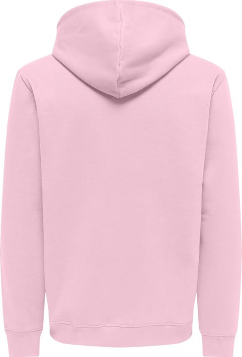 Image du produit Only & Sons Onsconnor Life Reg Sweat Hoodie Noos (M)