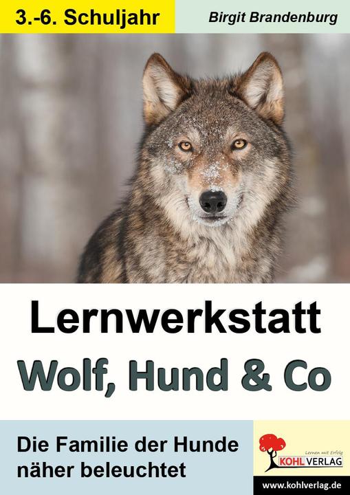 Produktbild Lernwerkstatt Wolf, Hund & Co (Deutsch, Birgit Brandenburg, 2016)