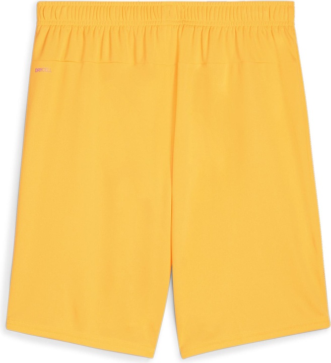 Actual product image Puma teamGOAL shorts (M)