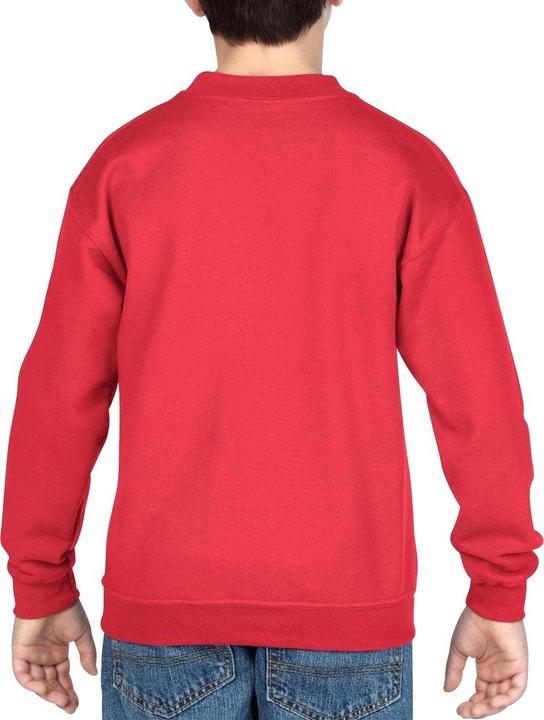Actual product image Gildan Sweatshirt with round neck (pack of 2) (S)