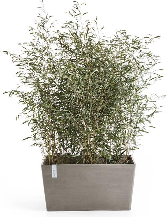 Produktbild Ecopots Paris 100 Blumentopf - L 99,7 cm x B 46,4 cm x H 51 cm - Innen- und Aussenbereich (99.70 x 46.40 x 51 cm)