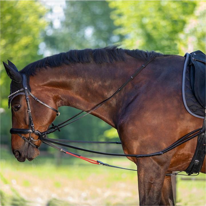 Bridles