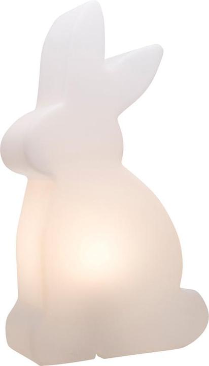 8 seasons design Shining Rabbit (1x)
