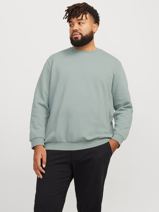 Actual product image Jack & Jones Jjebradley Sweat Crew Noos Pls (XXL)