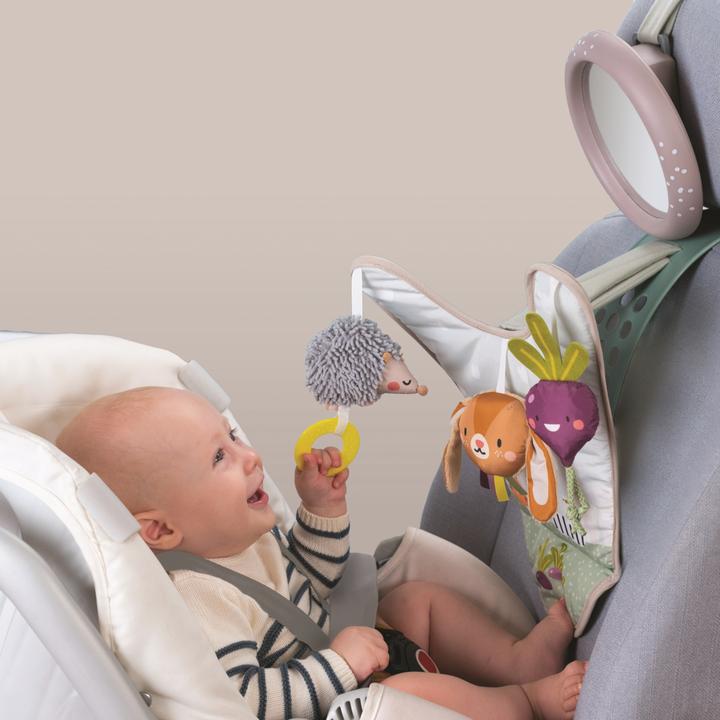 Image du produit Taf Toys Jeu pour la voiture Urban Garden