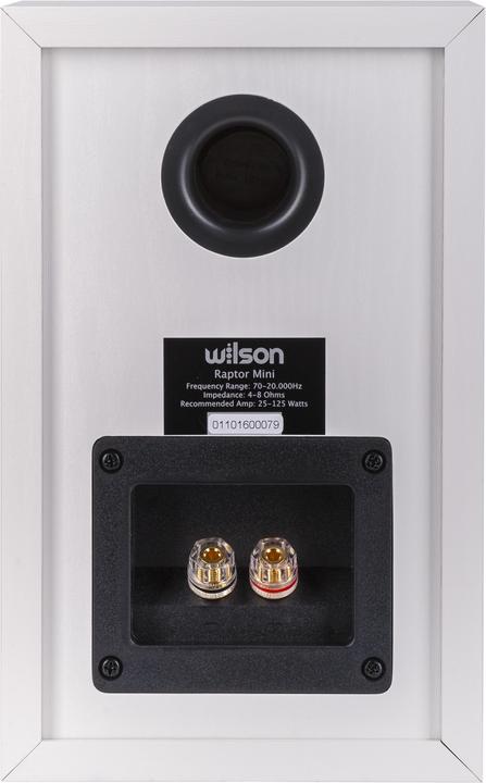 Produktbild Wilson Raptor Mini (1 Paar)