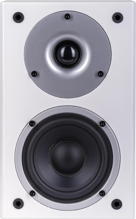 Produktbild Wilson Raptor Mini (1 Paar)