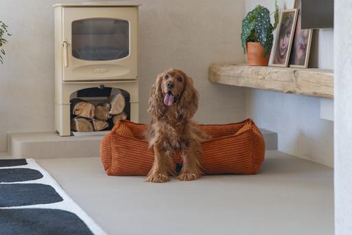 Actual product image Designed by Lotte Ribbed (Dog)