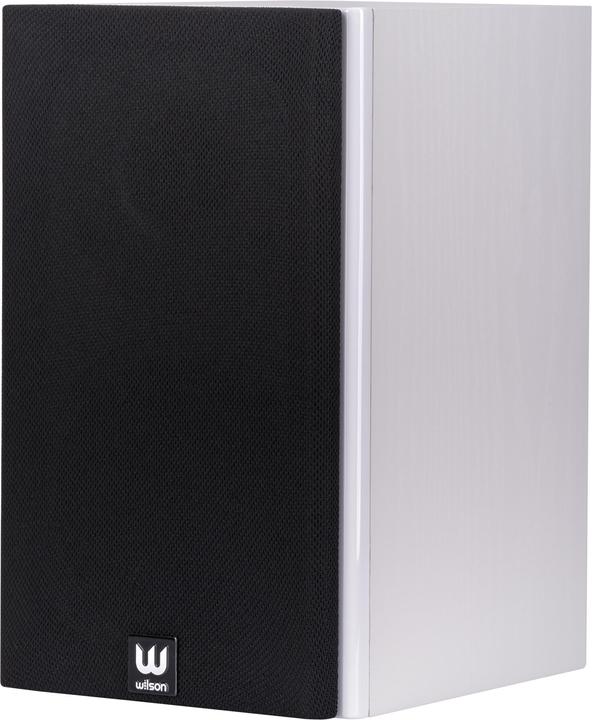 Produktbild Wilson Raptor Mini (1 Paar)