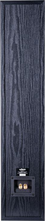 Image du produit Wilson Raptor 5 (1 paire)