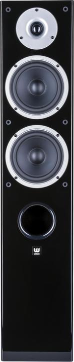 Image du produit Wilson Raptor 5 (1 paire)