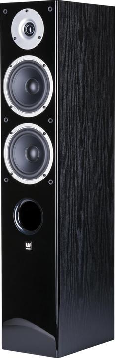 Image du produit Wilson Raptor 5 (1 paire)