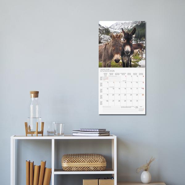 Produktbild Esel2026