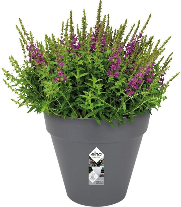 Produktbild Elho Loft Urban (28.50 x 26 cm)