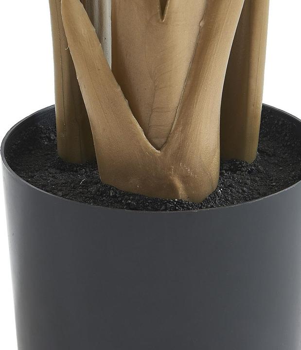 Immagine prodotto Ozaia Nendaz (160 cm)