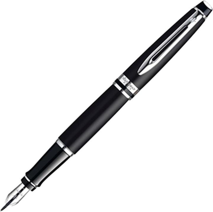 Actual product image Waterman Expert (Silver, Black matte, 1 x)