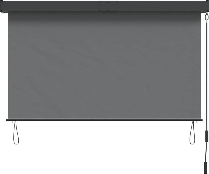 Produktbild vidaXL Outdoor Rollo (100 x 250 cm)