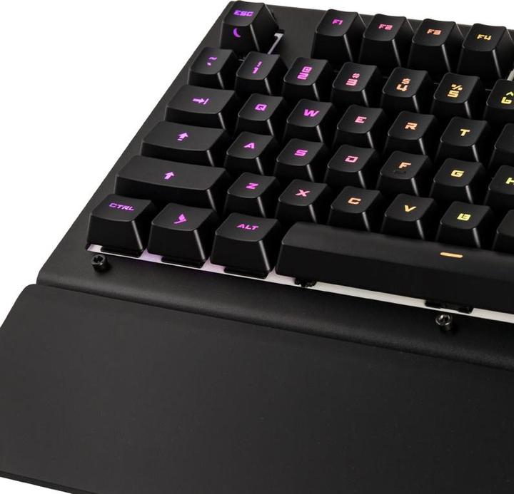 Actual product image Das Keyboard X50Q, US Layout, soft tactile Omron (US, Cable)