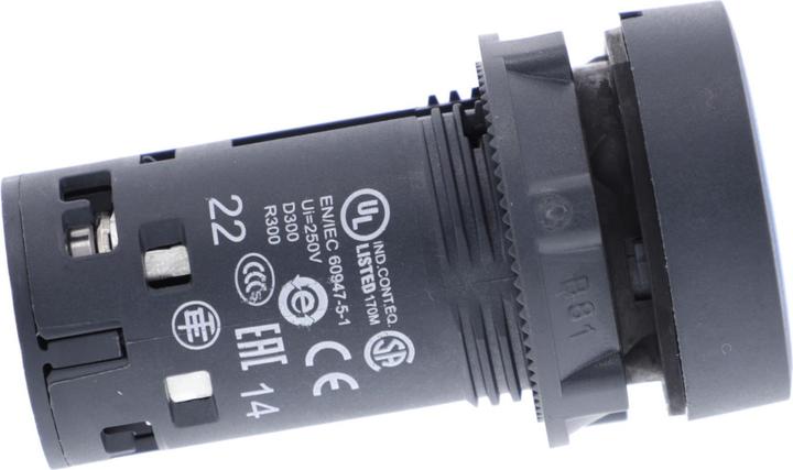 Produktbild Schneider Electric Steuerknopf 22 mm mit Federrückstellung 1NO 1R (XB7NA65)