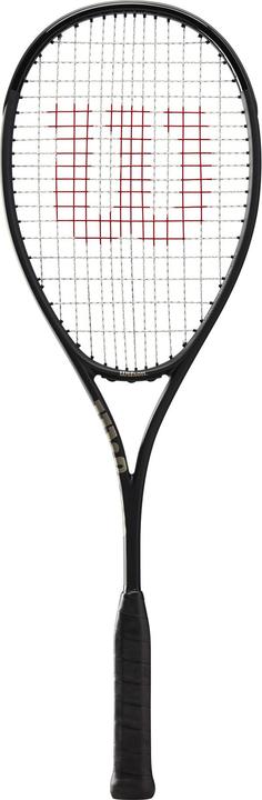Wilson Pro Staff L 22