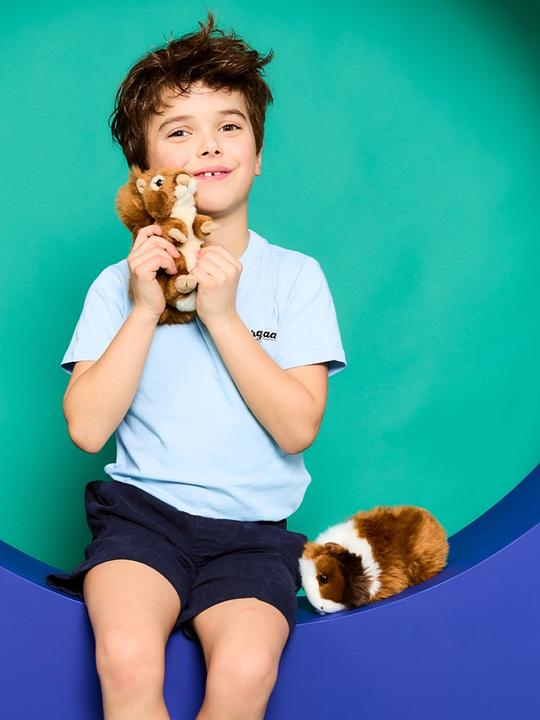 Image du produit WWF Cochon d'Inde (19 cm)