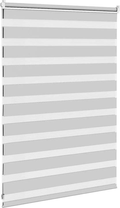 Produktbild vidaXL Zebra-Jalousie (100 x 105 cm)