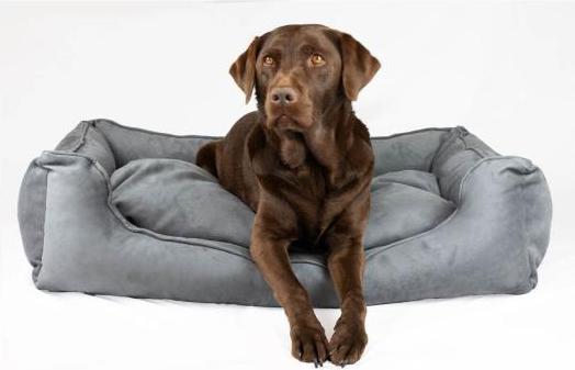 Produktbild Bjørnfjell Hundebett Senja (Hund)