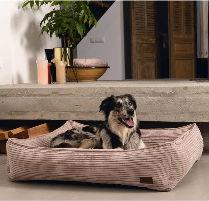 Productafbeelding Designed by Lotte Geribbeld (Hond)